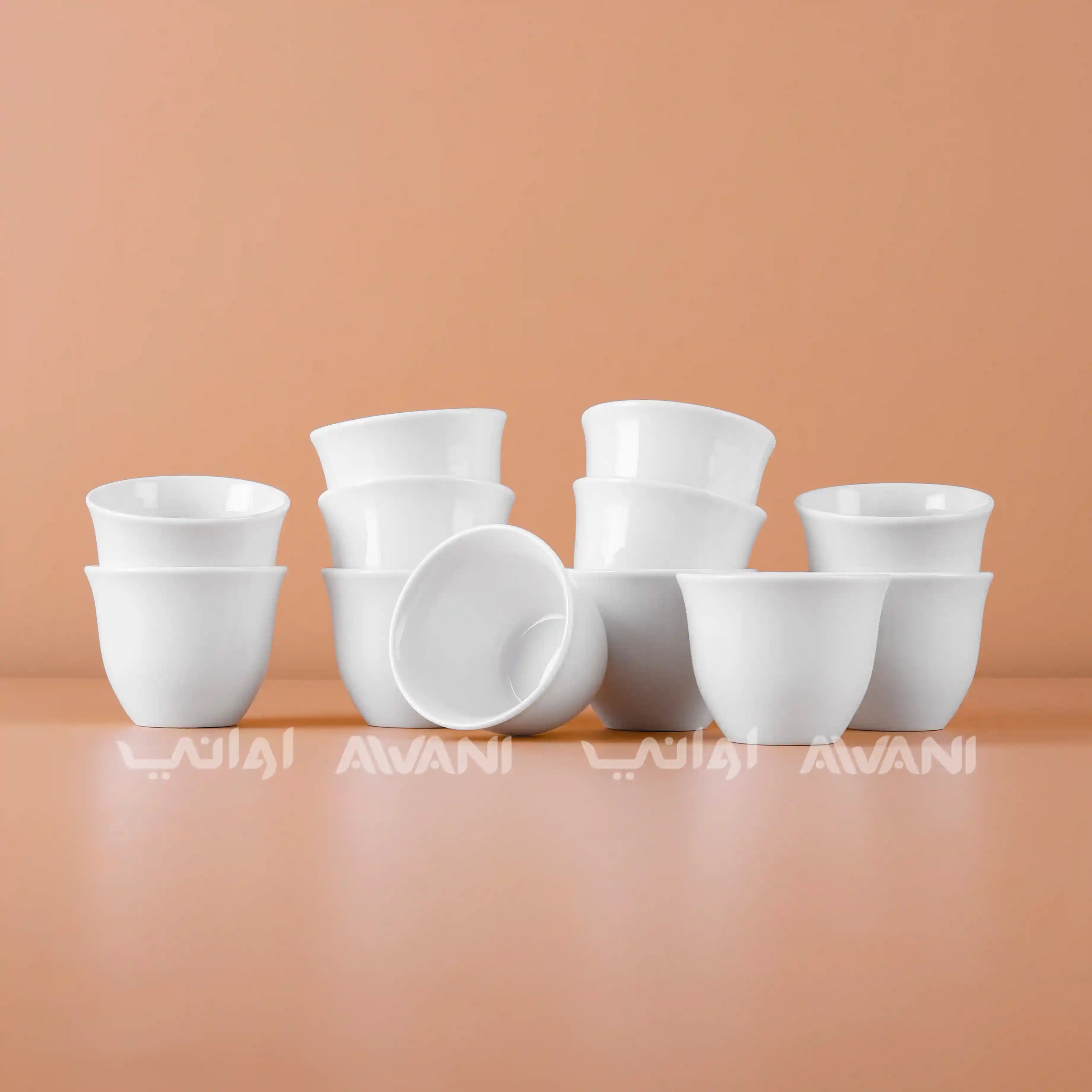 Elegant 12-Piece  Porcelain Ceramic Cawa Set
