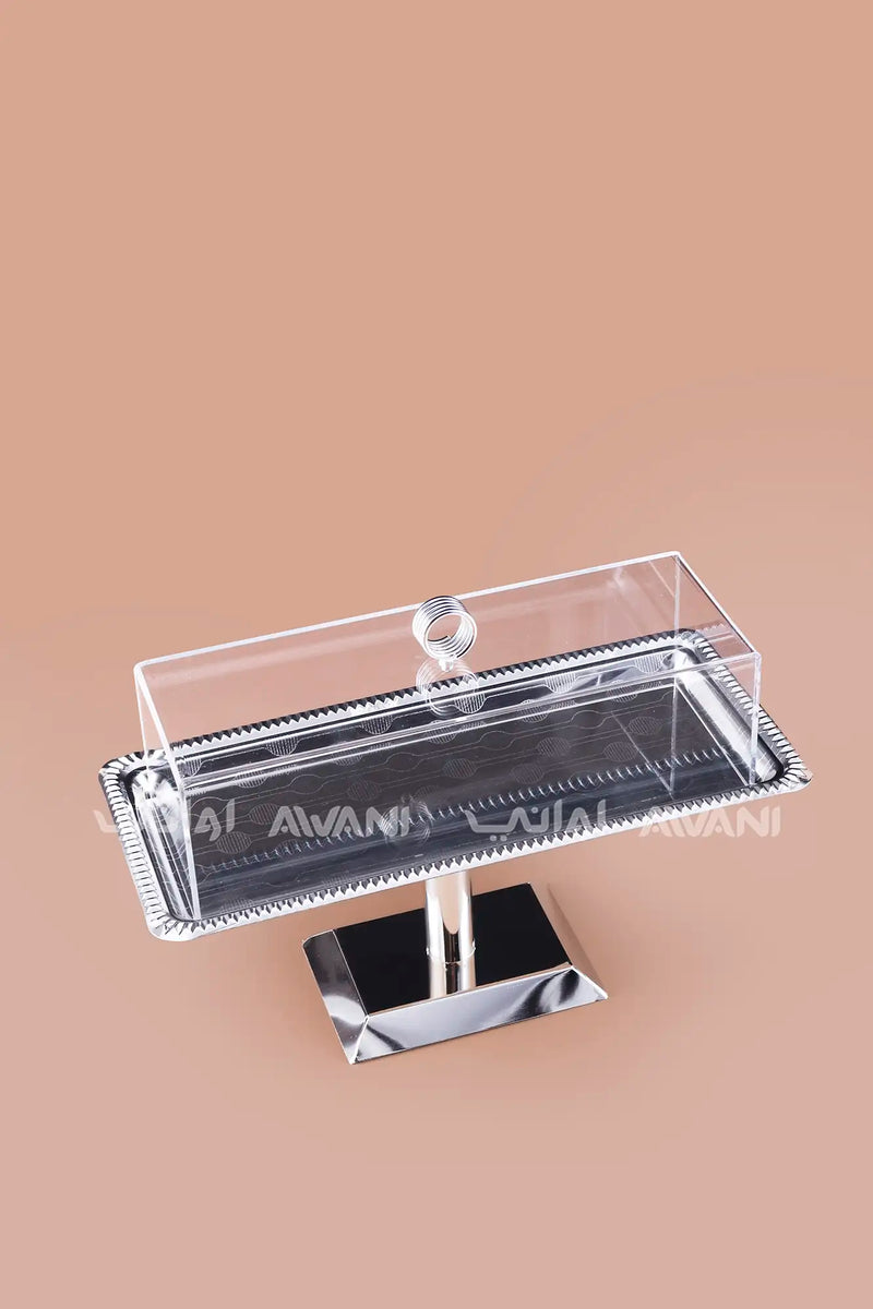 Rectangular Silver Steel Serving Stand with Acrylic Lid