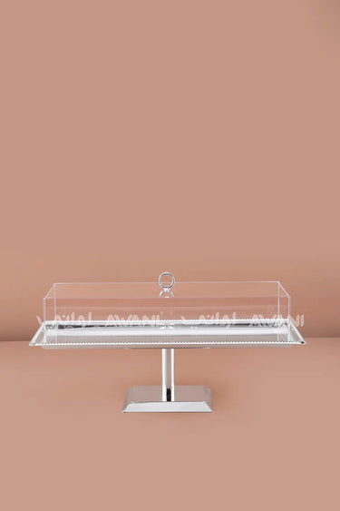 Rectangular Silver Steel Serving Stand with Acrylic Lid