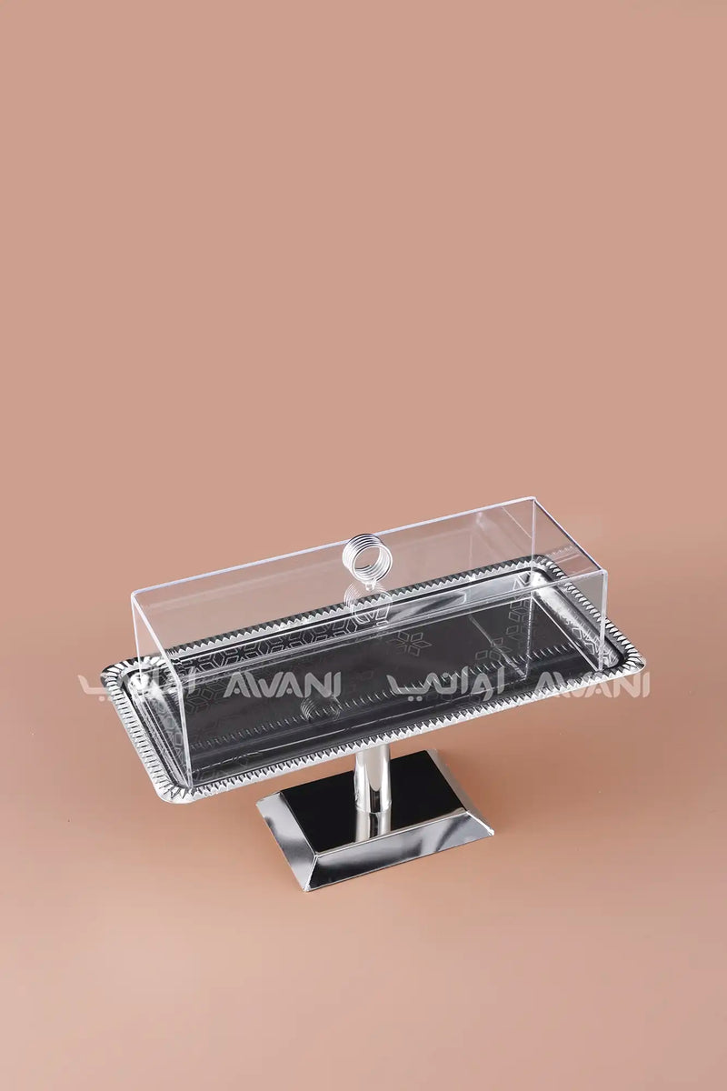 Rectangular Silver Steel Serving Stand with Acrylic Lid