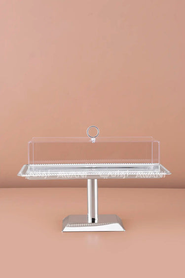 Rectangular Silver Steel Serving Stand with Acrylic Lid