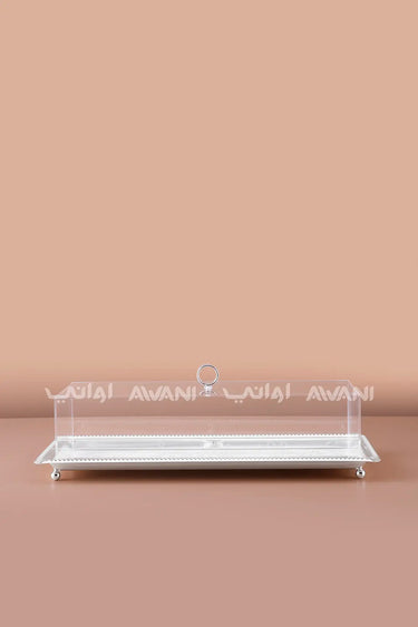 Dessert  Tray with Silver Base & Clear Dome