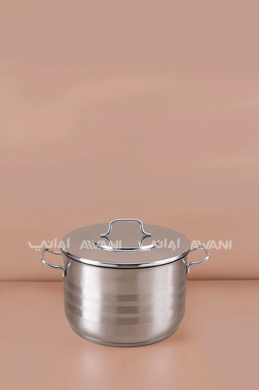 12L Stainless Steel Casserole Pot (30×17.5 cm)