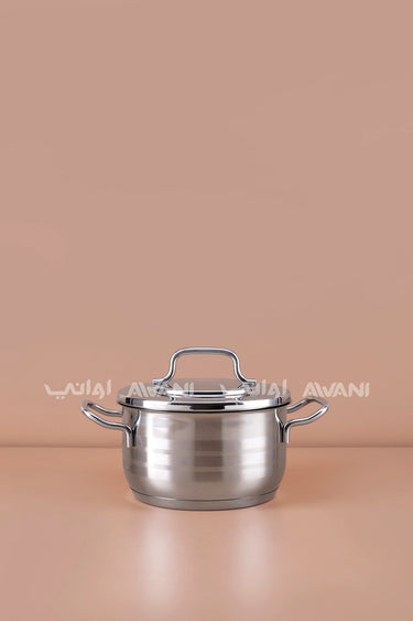 2.5 L Stainless Steel Casserole Pot (18×10 cm)
