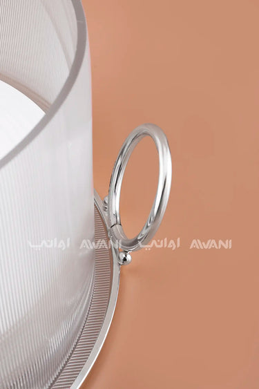 Clear Acrylic Plate Holder with Dome Lid and Silver Base – L
