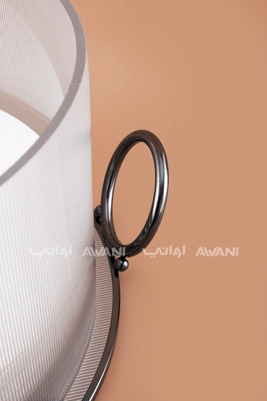 Clear Acrylic Plate Holder with Dome Lid and Black Base – L