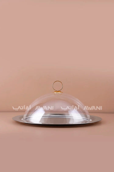 Round Stainless Steel Serving Platter with Clear Dome Lid and Gold Ring Handle