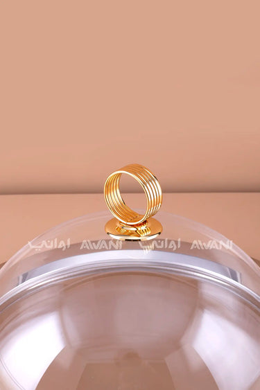Round Stainless Steel Serving Platter with Clear Dome Lid and Gold Ring Handle