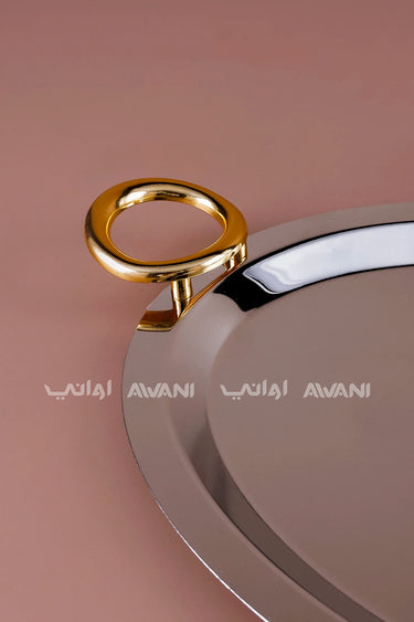 Oval Silver Serving Tray with Circular Loop Gold Handles