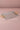 Rectangular Serving Tray with Gold Handle