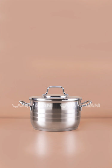 4.6L Stainless Steel Casserole Pot 22-12CM