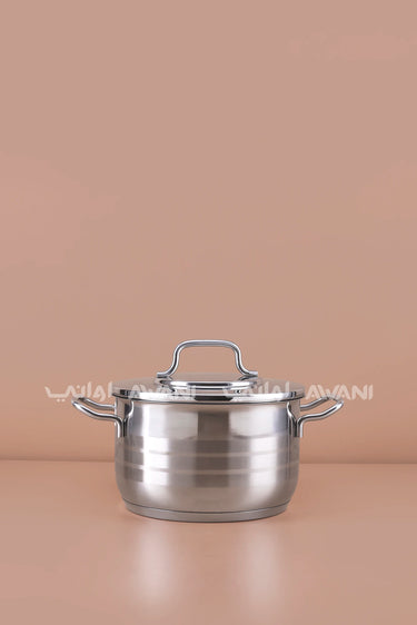 3.8L Stainless Steel Casserole Pot 20*12CM