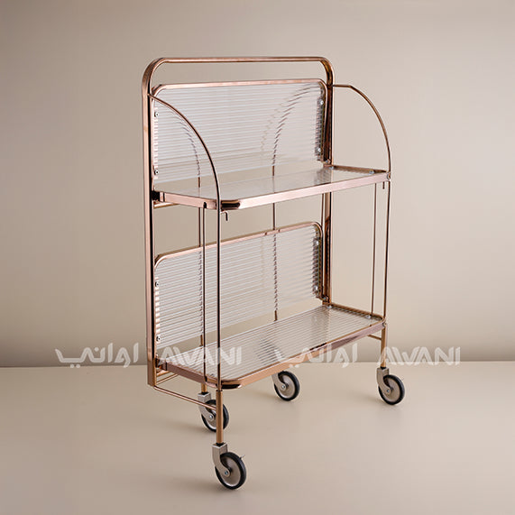 Stainless Steel Utility Trolley with Two Shelves -  Gold